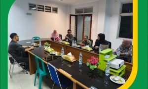 Universitas Pat Petulai Ikuti Kegiatan Evaluasi Laporan PDDIKTI Bersama LLDIKTI Wilayah II