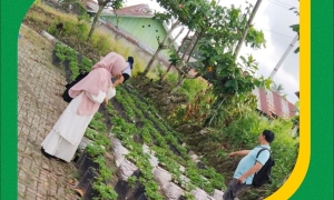 Universitas Pat Petulai Laksanakan Gerakan Kampus Go Green Melalui Penanaman Tumbuhan